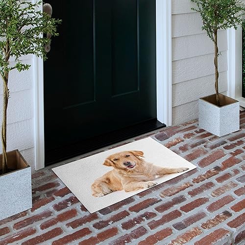 Miniatura 4 de Ambesonne Golden Retriever Doormat, Young Pedigree Puppy Laying Over White Background Dog, Decorative Polyester Floor Mat with Non-Skid Backing, 30"