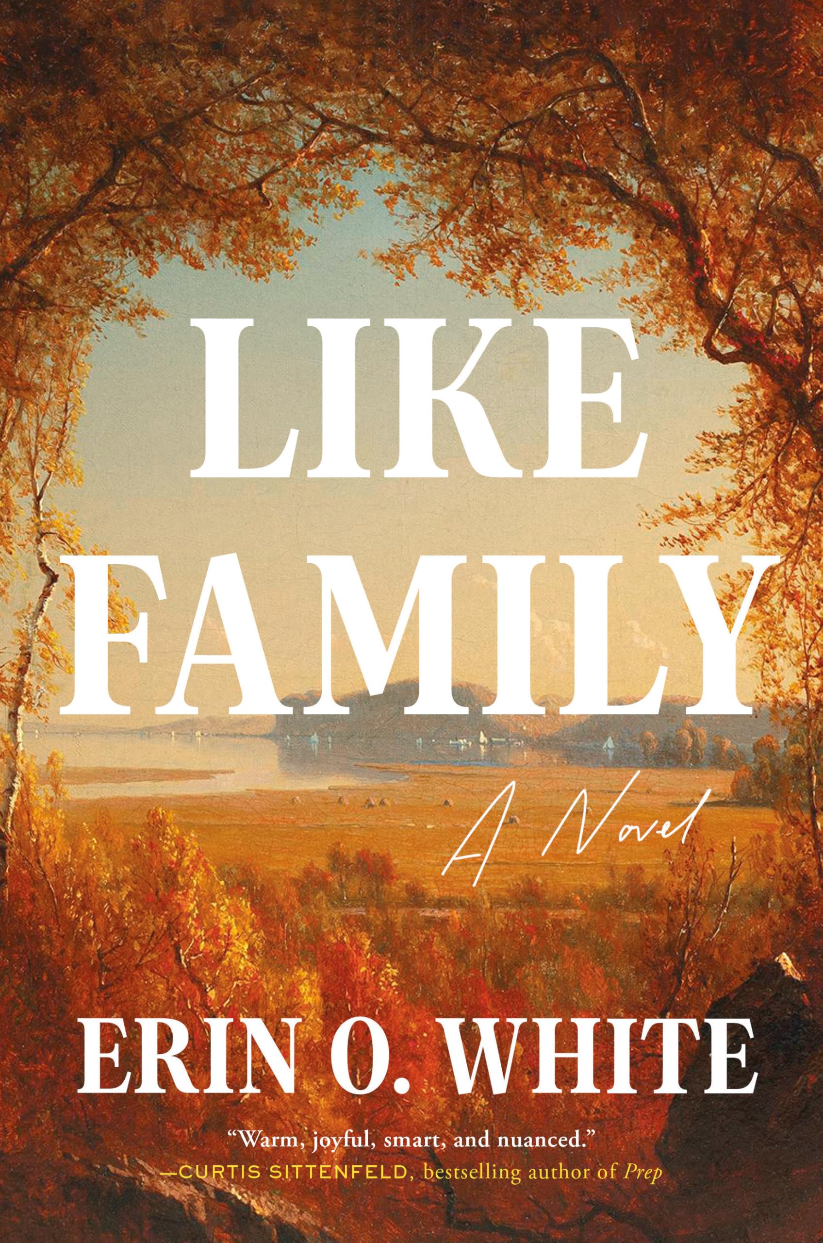Buy Like Family: A Novel — BookShops.in