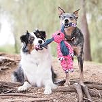 Kong Company 38740205: Jouet pour chien de renard, M/L