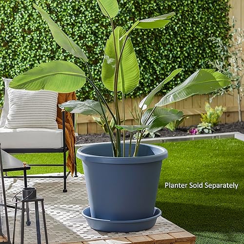 Miniatura 5 de The HC Companies Plato clásico redondo de plástico de 12 pulgadas, bandejas para plantas de interior y exterior para macetas, 12.5 x 12.5 x 2.13