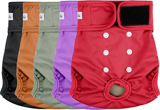 Female Dog Diapers 5Pcs - Premium Reusable Diapers for Doggie in Heat - Highly Absorbent Dog Diapers Female for Pet Incontinence, Red, M