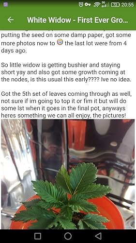 Shared Grow