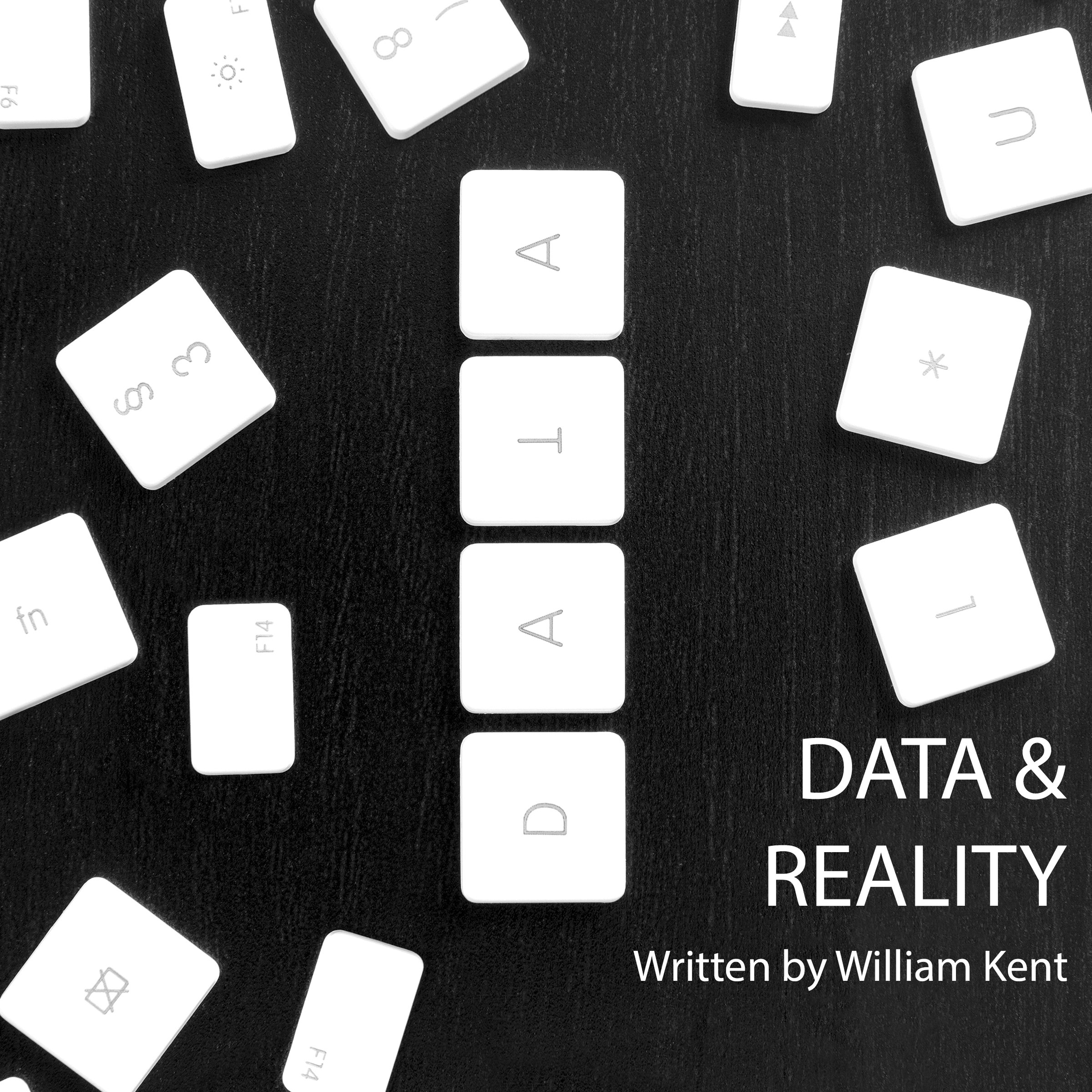Cover art for Data and Reality