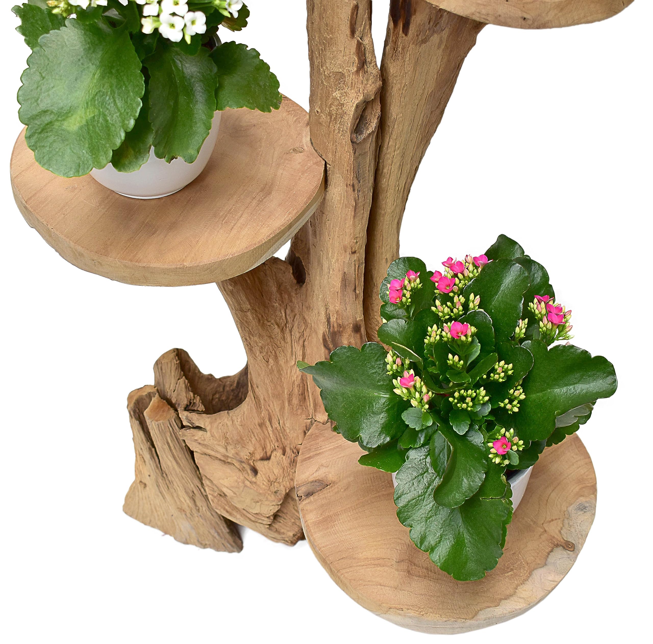Teak Blumenständer mit 3 Ablagen Blumenpodest Pflanzentreppe Blumenregal Ständer Blumenhocker Massiv Holz Podest Regal 60cm