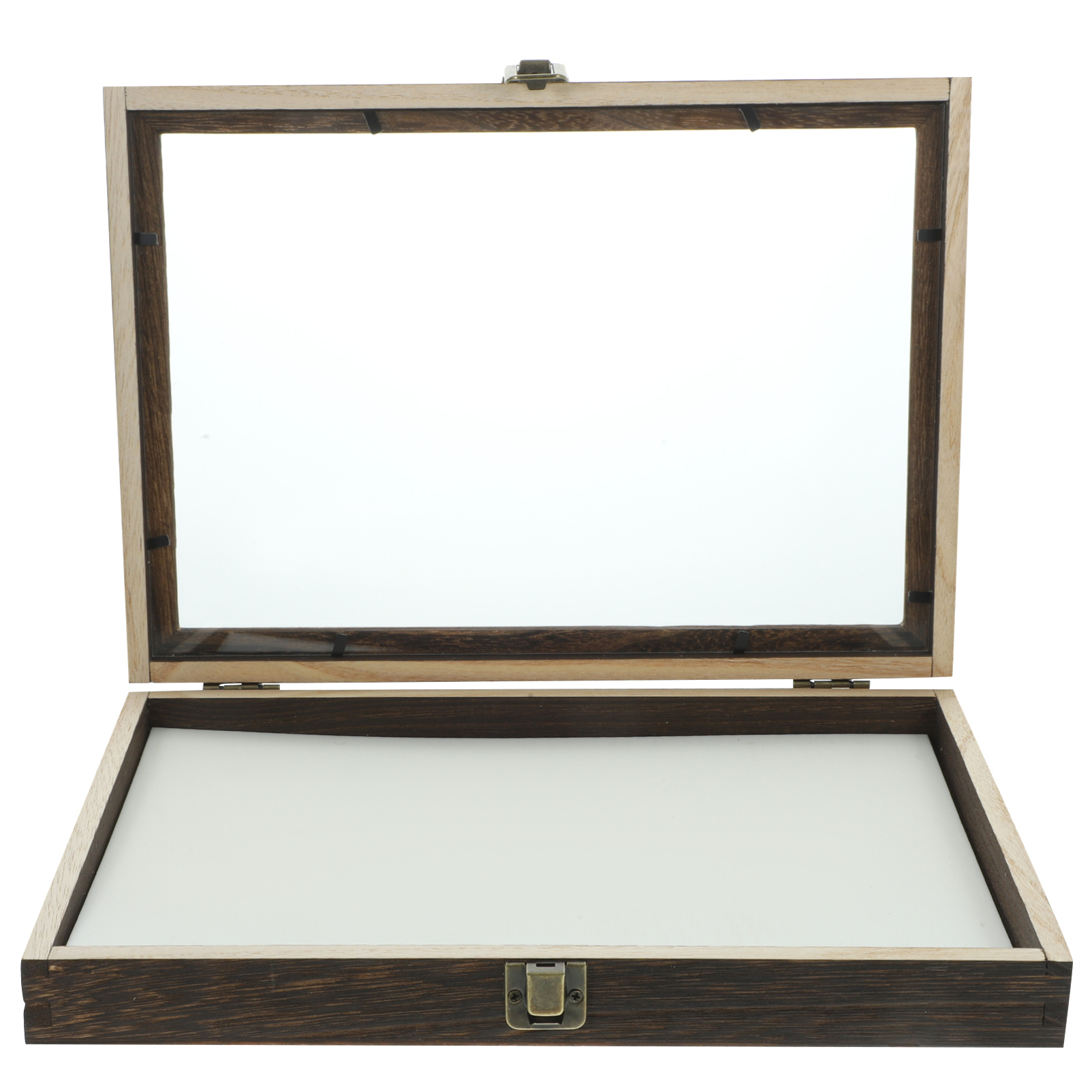 Image of Gatuida Insect Display Box Clear Top Specimen Storage Frame for Butterfly and Bug Collection Wooden Display Box with Mat Desktop Decor for Insect Specimens and Small Keepsakes