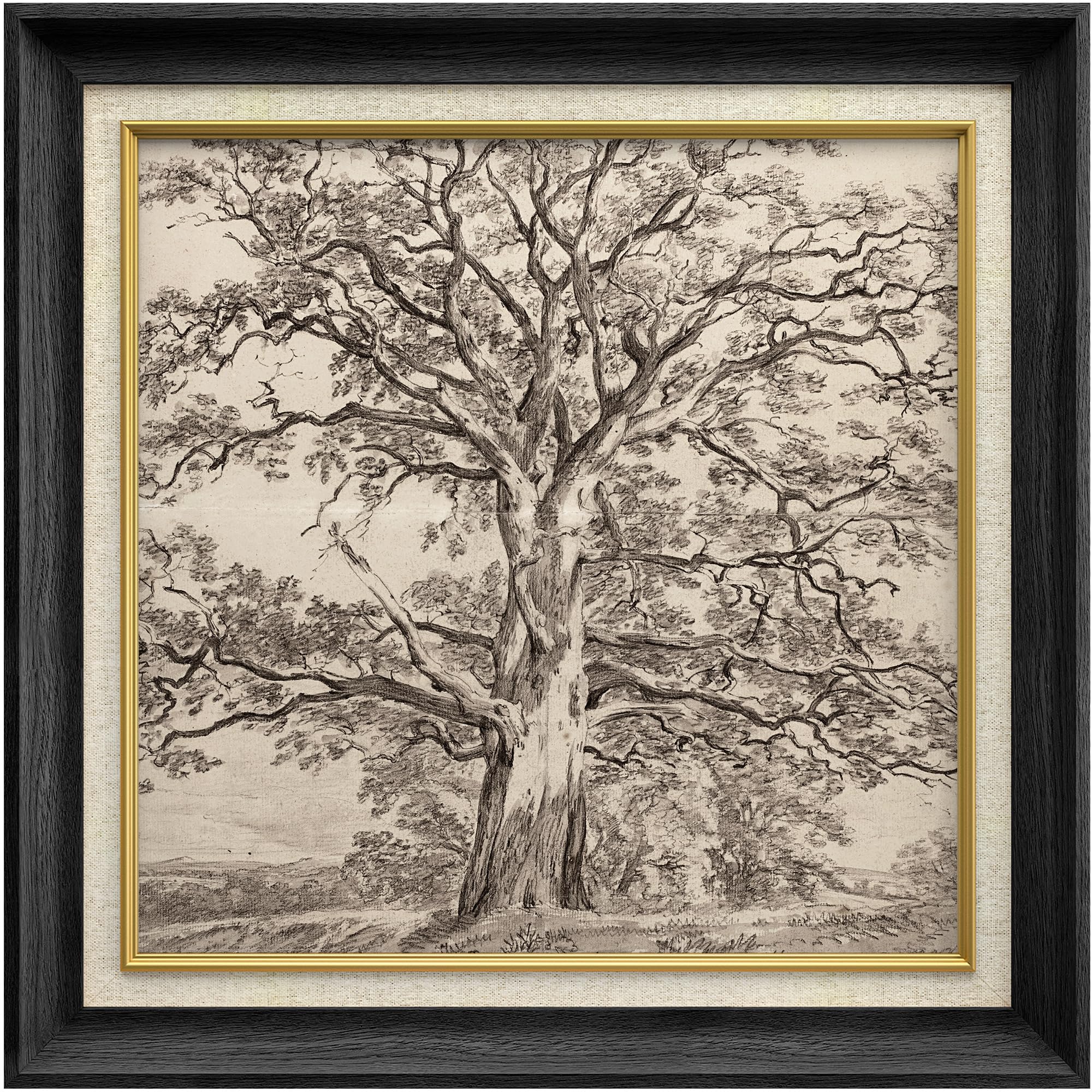Amazon.com: MUDECOR Premium Framed Wall Art Forest Tree Sketches