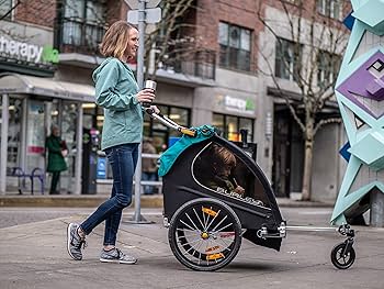 Amazon | バーレー(Burley) 自転車ベビーカー ターコイズ 2人