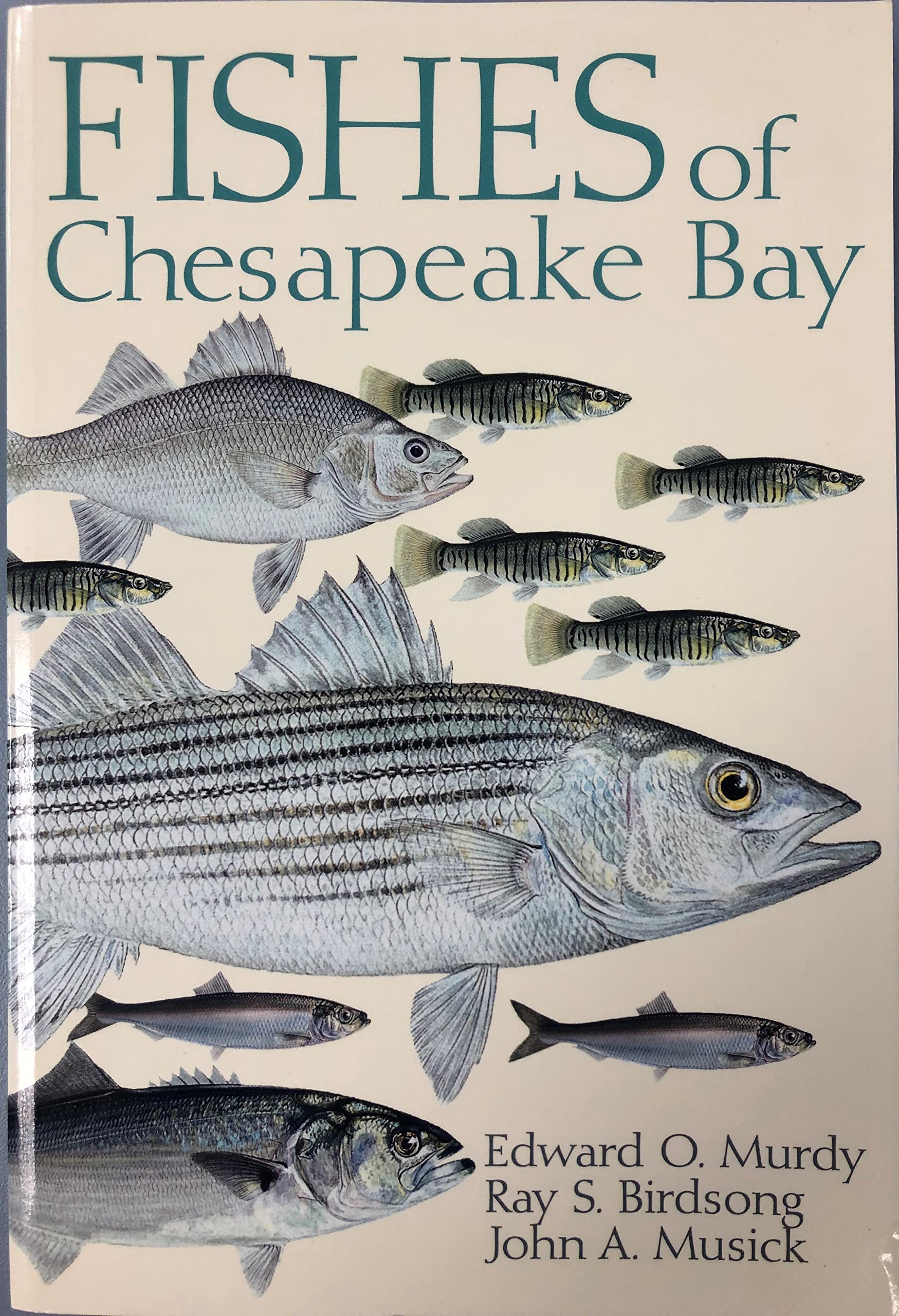 Fishes of Chesapeake Bay
