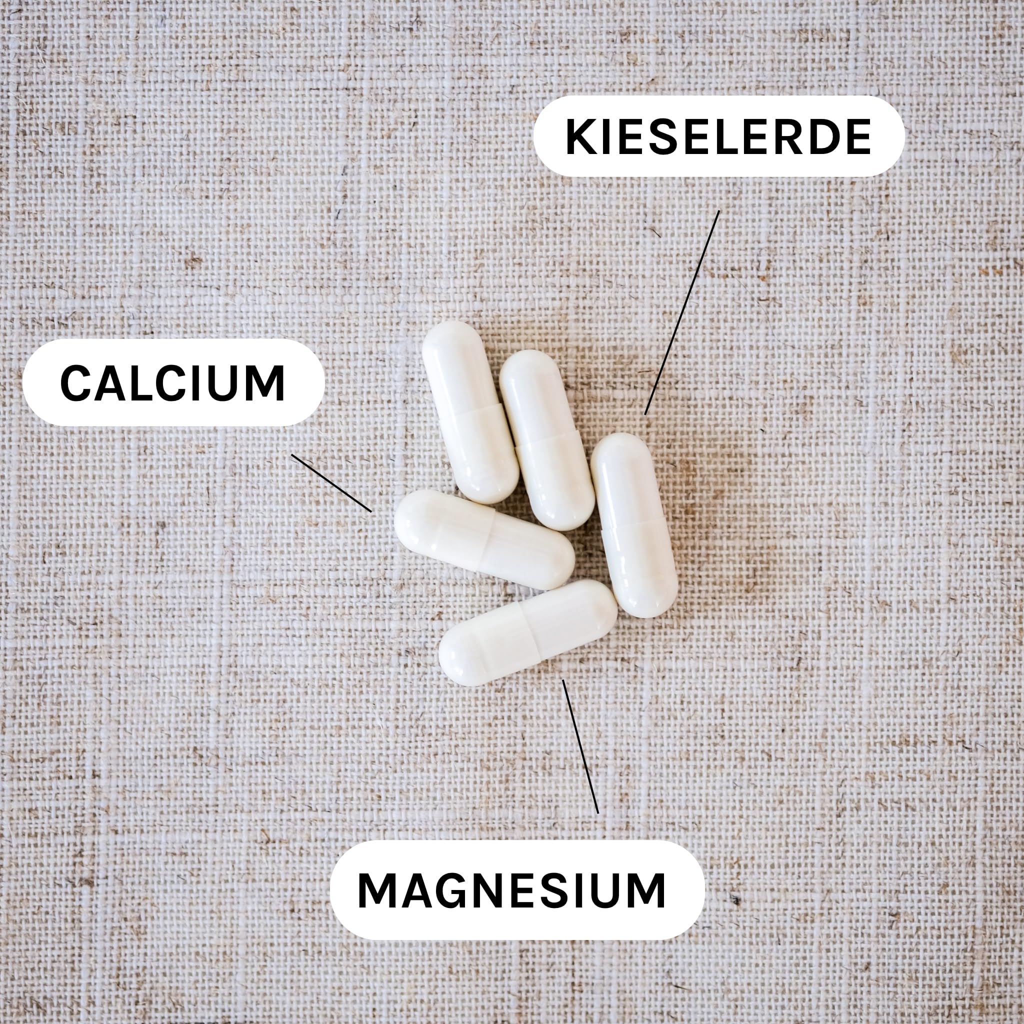 Astrid Twardy Kieselerde-Magnesium-Calcium Kapseln – Unterstützt Knochen, Muskeln und Bindegewebe - 2x160 Kapseln