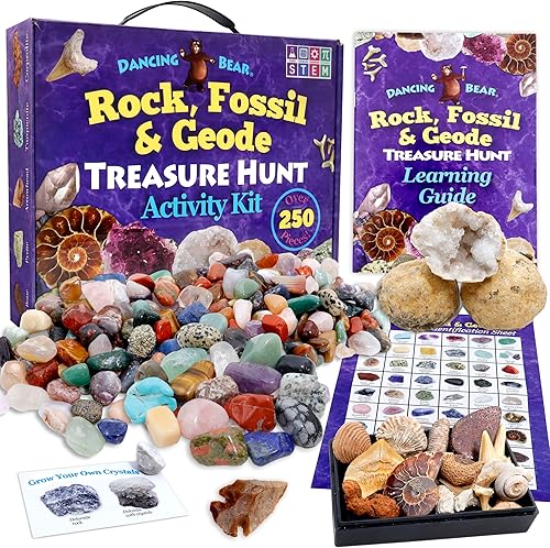 Miniatura 8 de Set de actividades de la colección Rock  Mineral más de 150 piezas hoja de identificación educativa más 2 geodas fáciles de romper dientes de