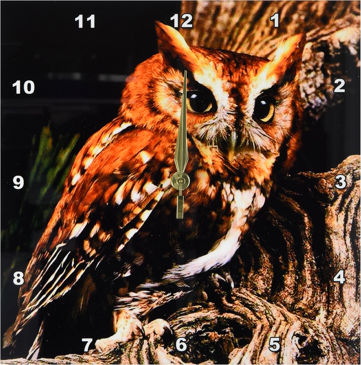3drose Owl Wall Clock, 10 by 10-Inch