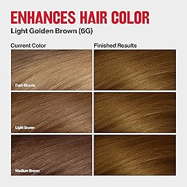 Revlon ColorSilk Tone + Gloss + Care Demi Permanent Hair Color, Dye Kit with Leave-In Scalp and Haircare Serum, 2x Shinier, 4x Stronger, 6G Light Golden Brown, 4.5 fl oz