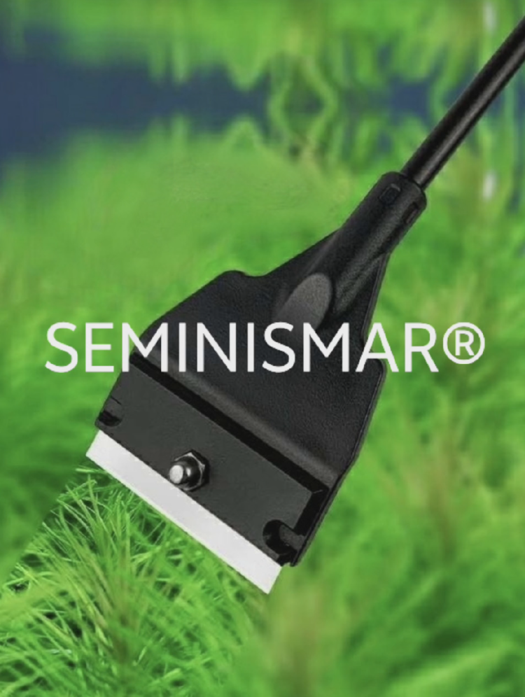 Limpiador Raspador De Algas Para Acuarios, Mango Largo, Hoja De Afeitar