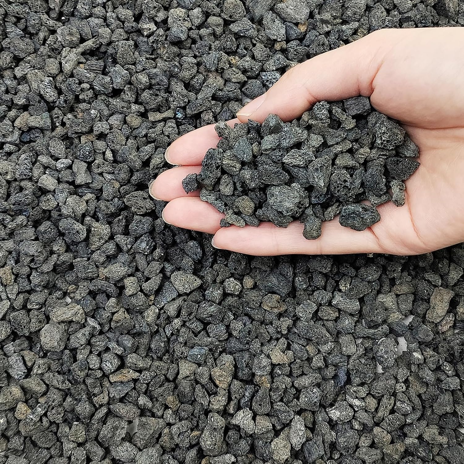 5 lbs Small Black Lava Rocks for Plants,1/4 Inch Crush Volcanic Rock Pumice Soil Additive for Succulent Aquarium Cactus Bonsai Fire Pits and Garden Landscaping