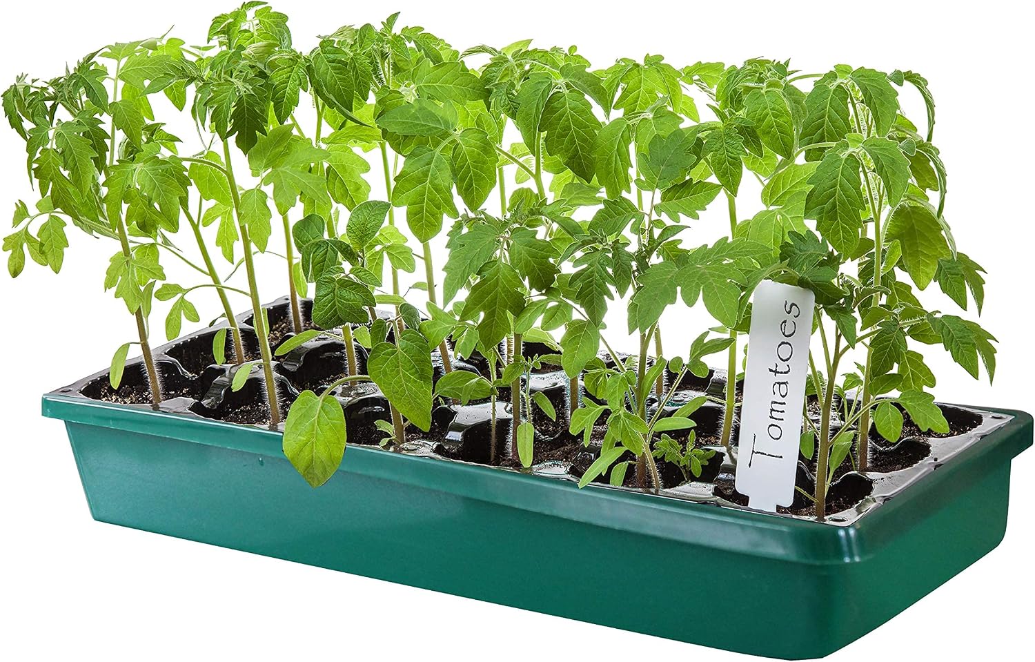 TABOR TOOLS 5-Pack Seed Starter Cell Insert for Germination Tray, Plastic 24-Cell Seedling Trays with Drain Holes. (5-Pack). TR44A.