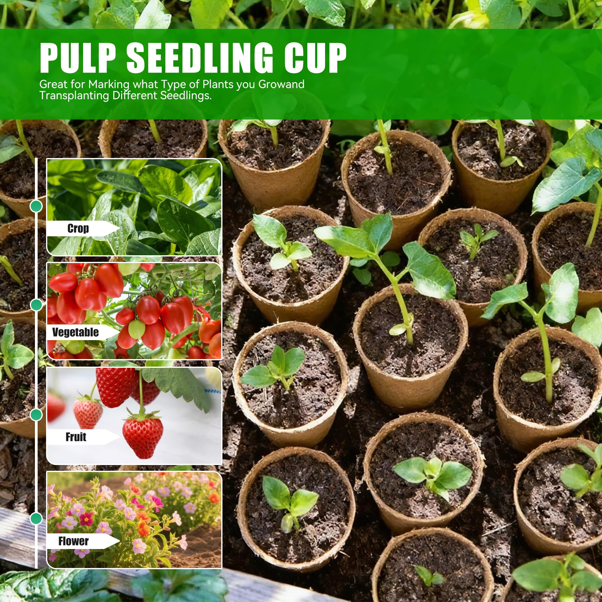 JAADU Vasetti per Piantine, 100 Pezzi 8 cm Vasi per Vivai Biodegradabili al, con 100 Etichette per Piante e 2 Attrezzi da Giardinaggio, per Germinazione et Taleaggio di Semi, Ortaggi, Fiori