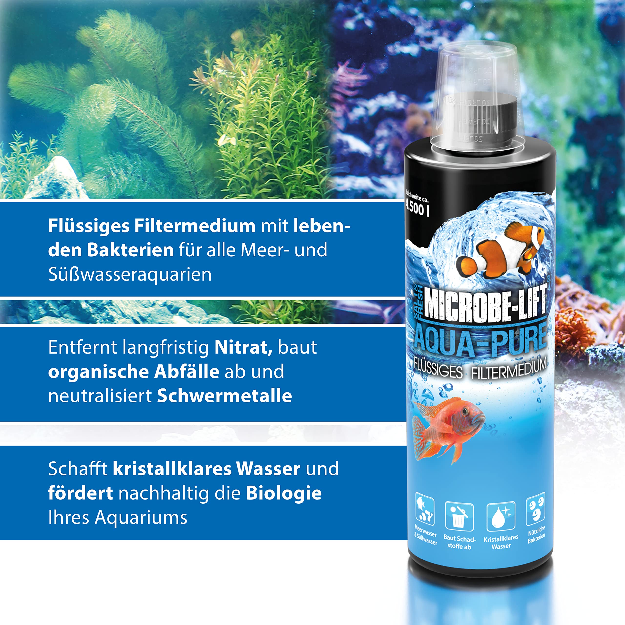 Söll Filterstarter 250 Gr. Filterstarter Bakterien für Teiche online