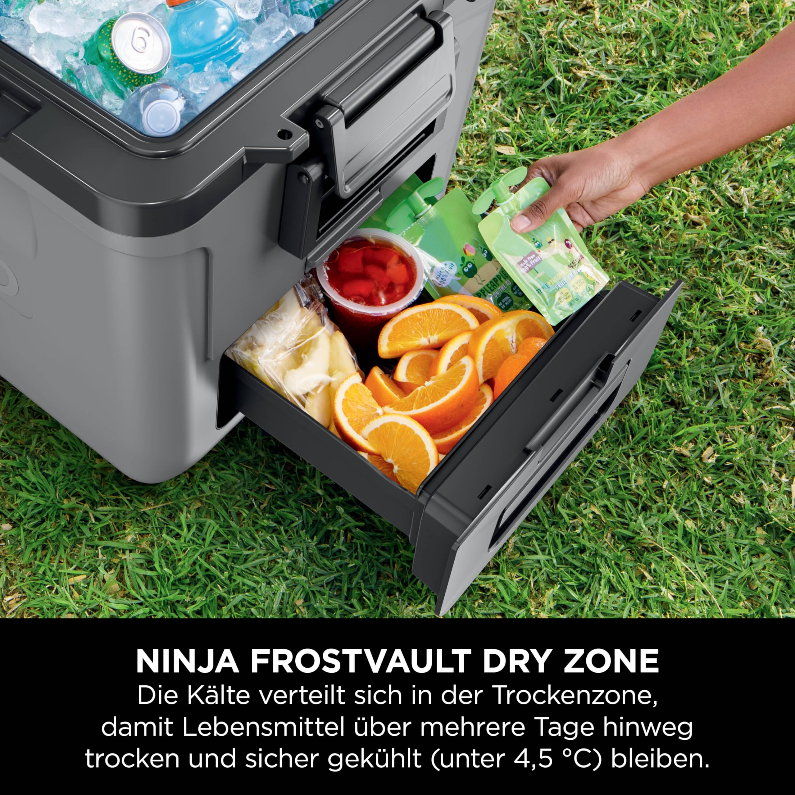Ninja FrostVault Kühlbox mit Rollen und Isolierung, integrierter Dry Zone Schublade mit Kühlschranktemperatur, hält Eis tagelang, bietet Platz für bis zu 48 Dosen, Schiefergrau, FB230EUGY