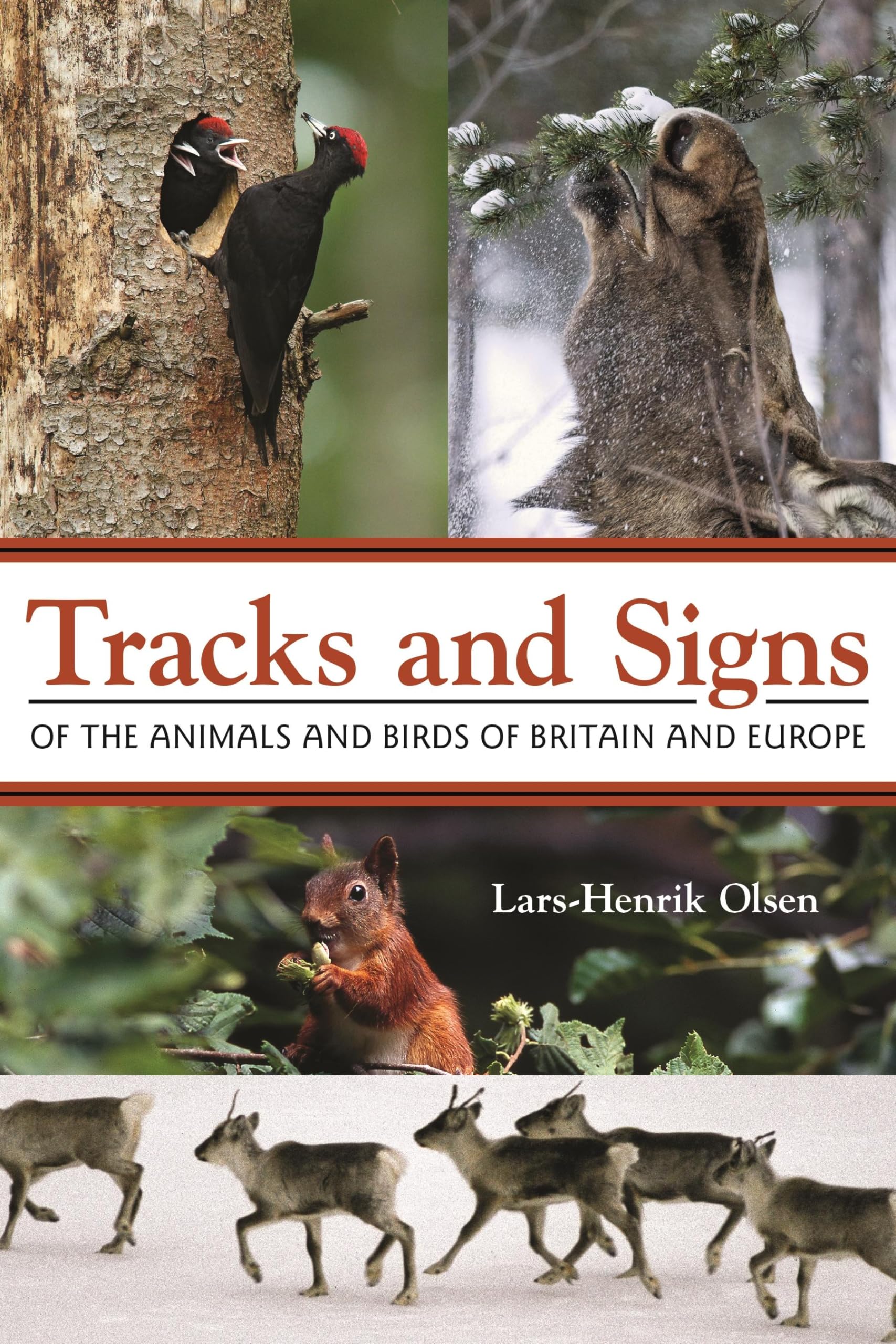 Tracks and Signs of the Animals and Birds of Britain and Europe By Lars-Henrik