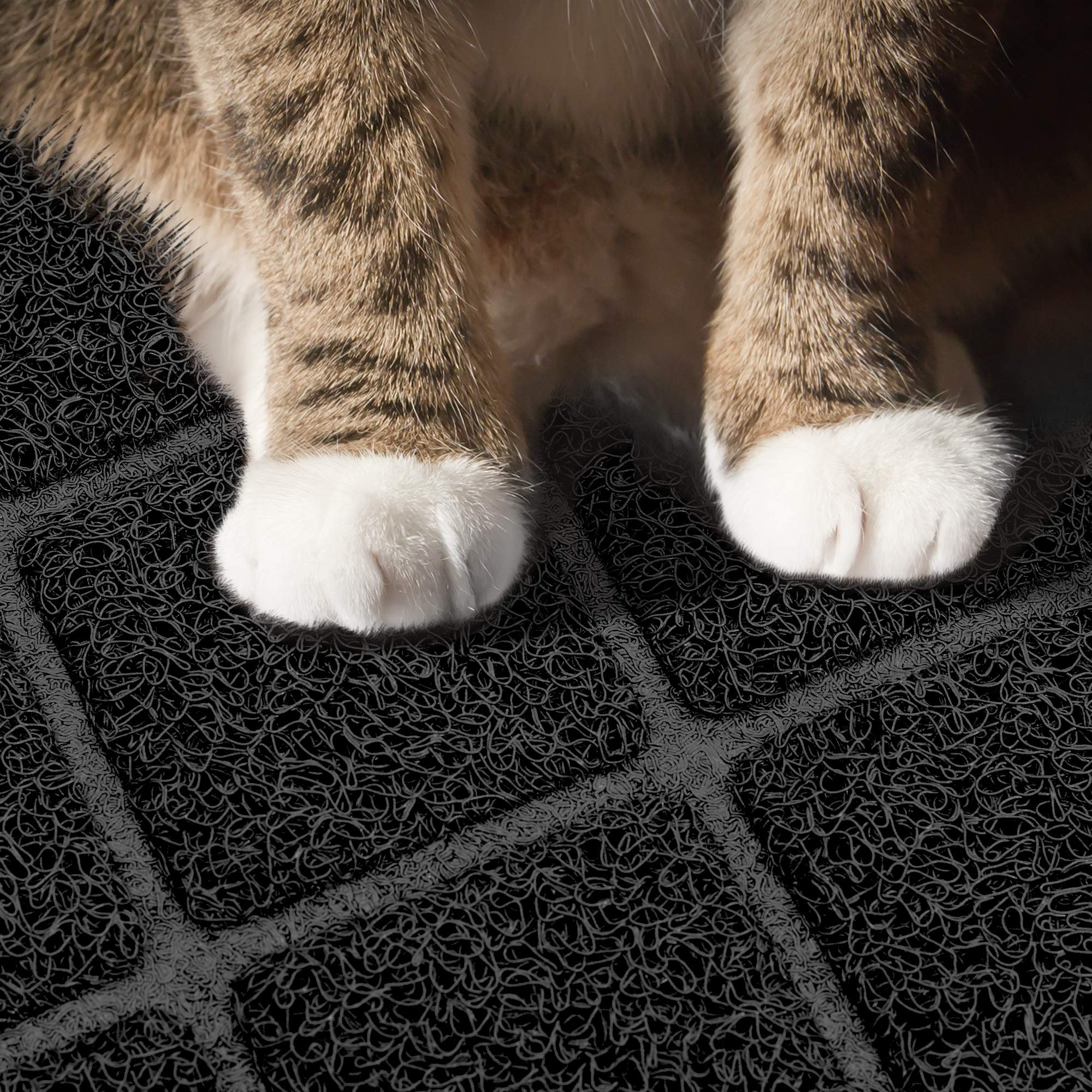 Niubya Alfombrilla para arena para gatos de 47 x 35 pulgadas, color negro