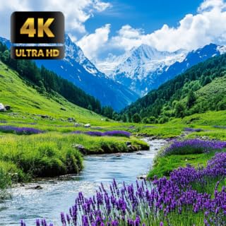 🏔️ Mountain Stream Sounds Screensaver App for TV with Relaxing Music, Multiple Videos,Screensaver For Tablets And Fire TV