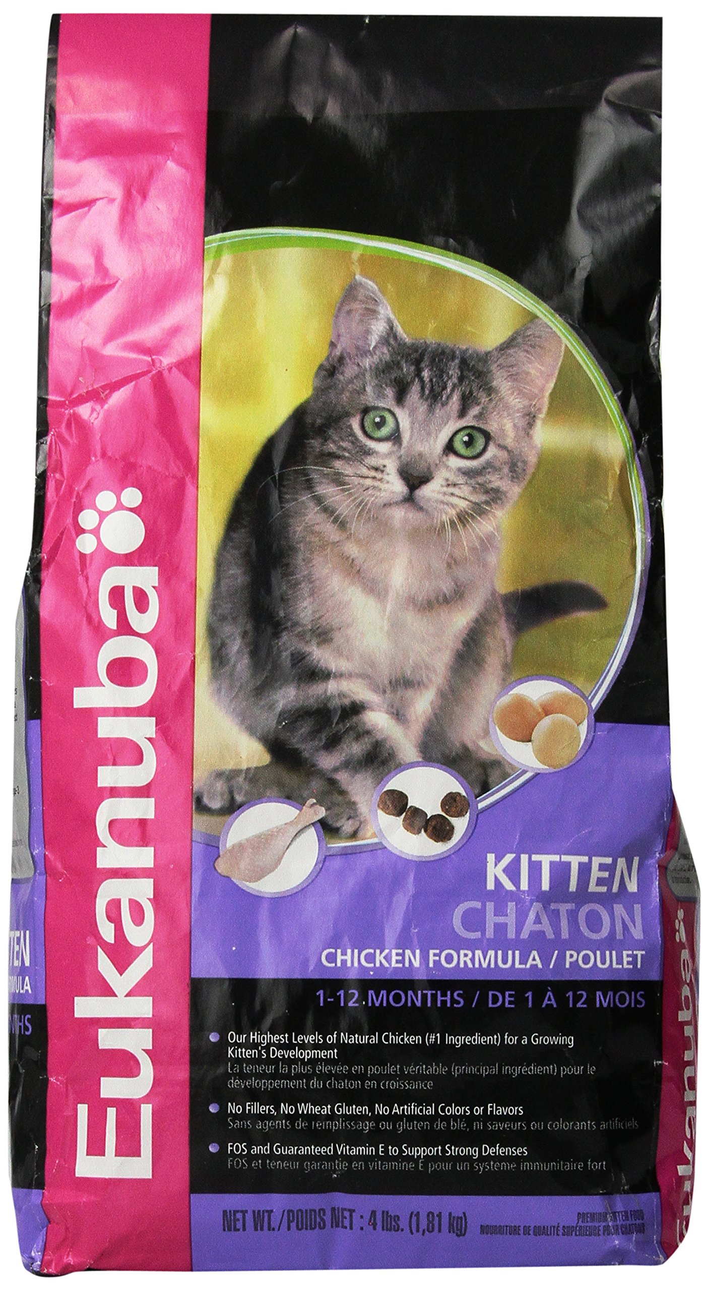 eukanuba kitten