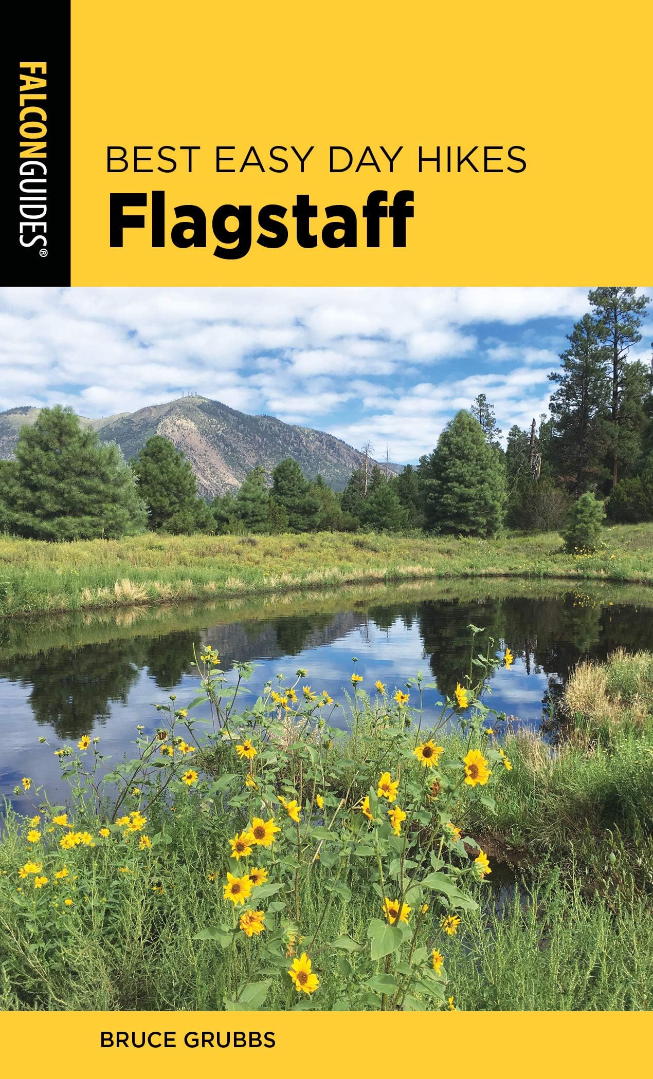 Best Easy Day Hikes Flagstaff