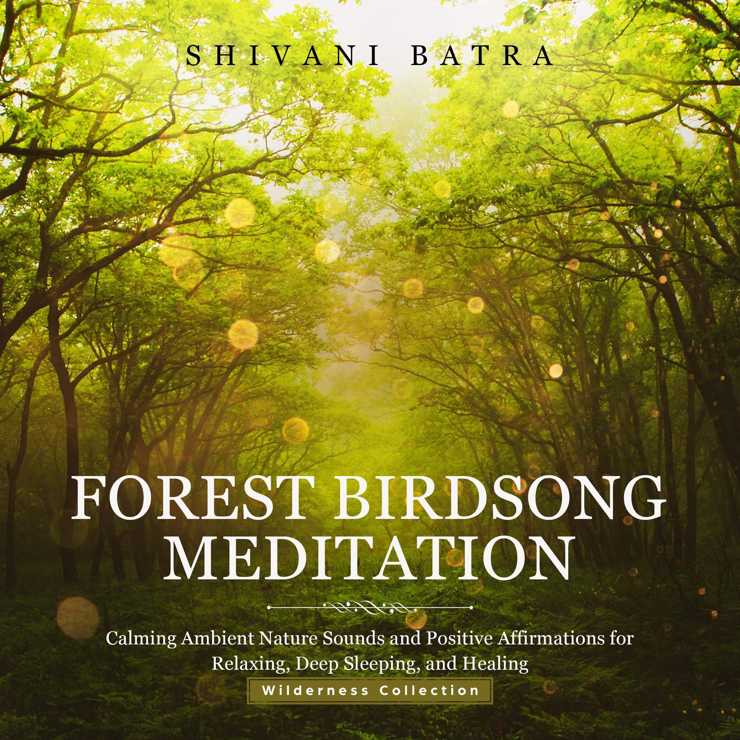 Cover art for Forest Birdsong Meditation