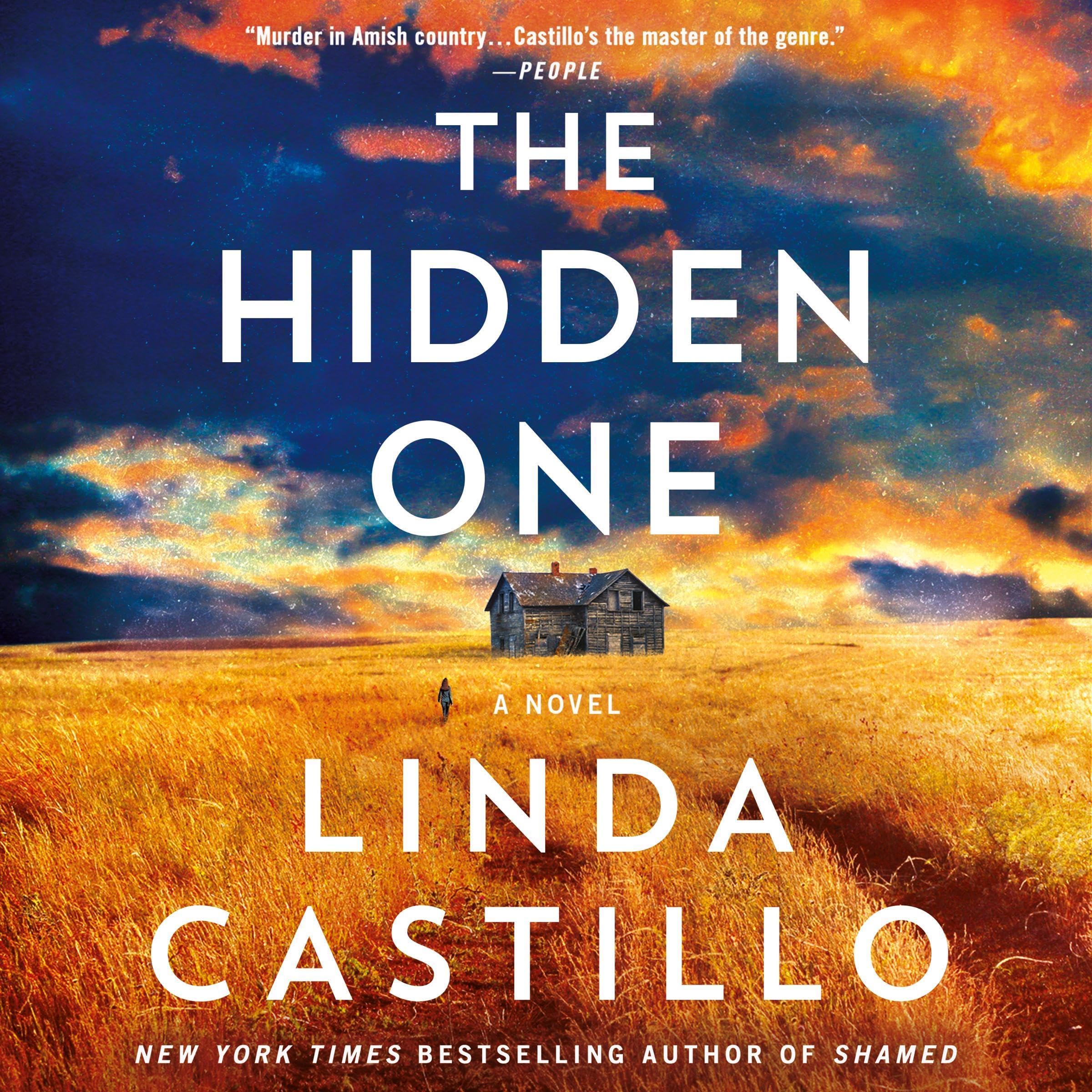 Cover art for The Hidden One