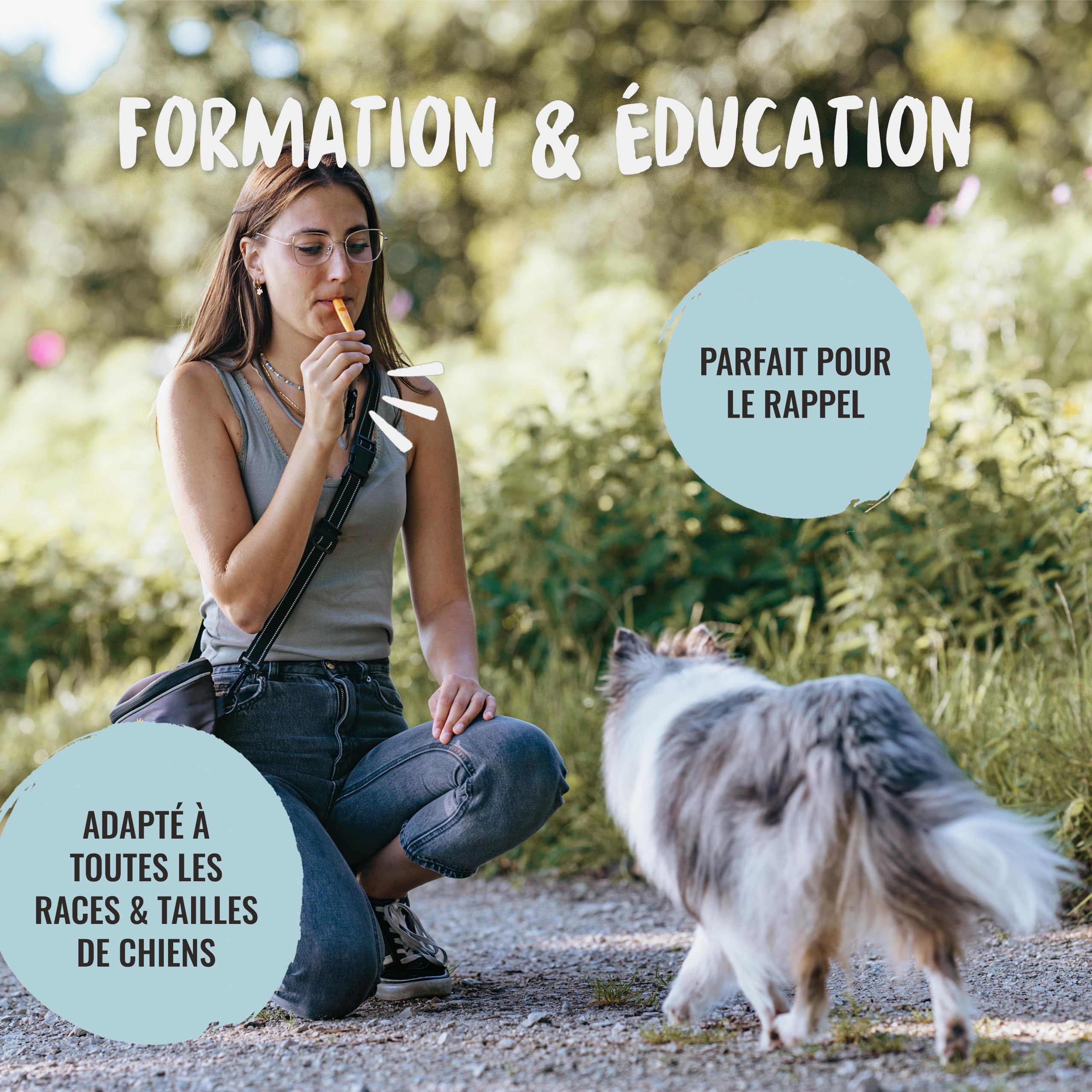 Rudelkönig Sifflet Chien Rappel Professionnel - Sifflet pour Chien - Outil de Dressage de Haute Qualité pour l'Éducation Canine