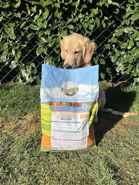 Foto 6 de 7 de Pienso Perros Cachorros - Landgut-Schmaus Junior de Bellfor Comida de Perros