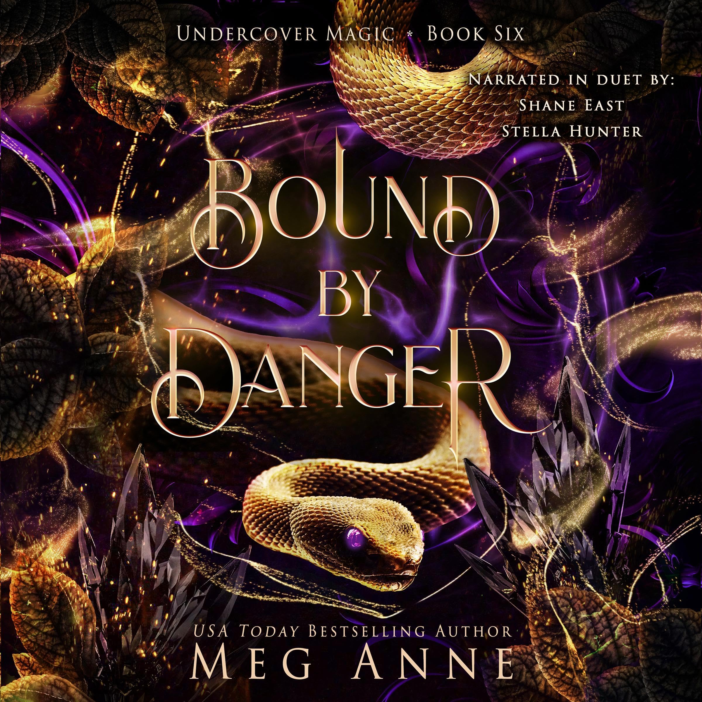 Cover art for Bound by Danger: A Fated Mates Psychic Paranormal Romance