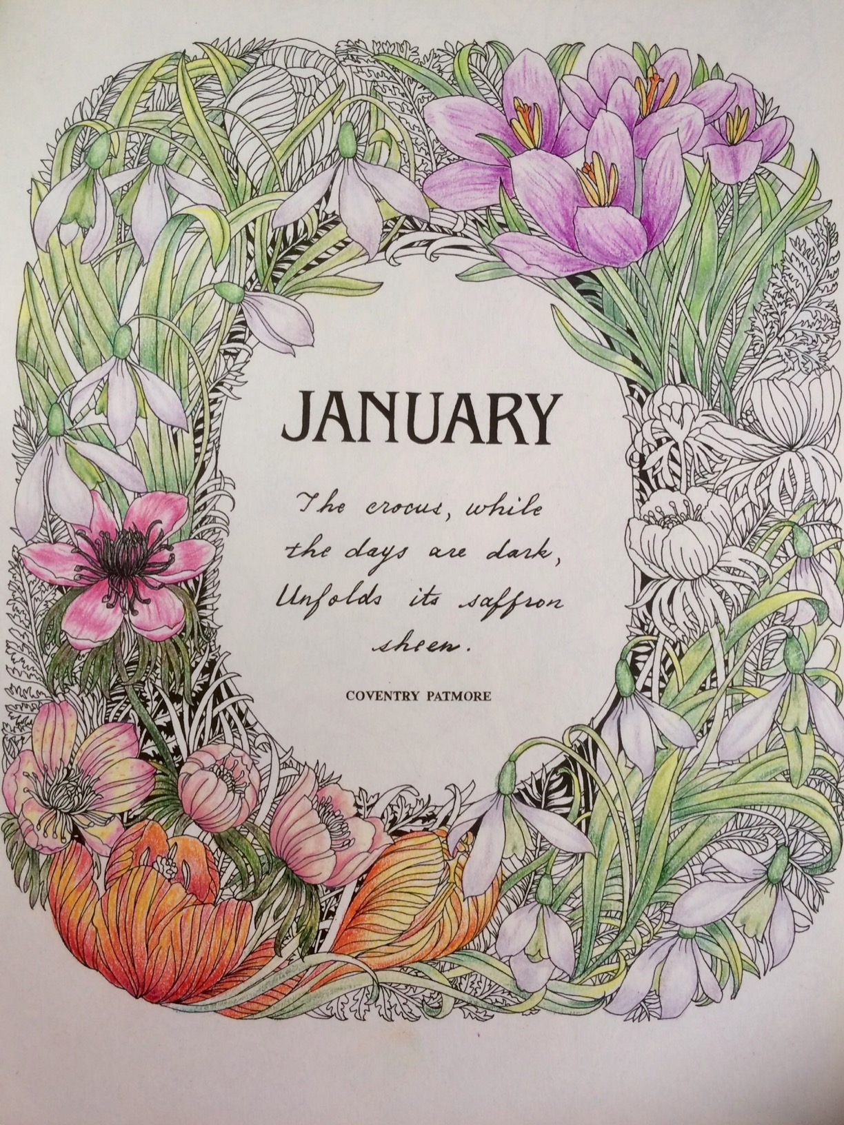The Flower Year: A Colouring Book : Duly, Leila: Amazon.com.au: Books