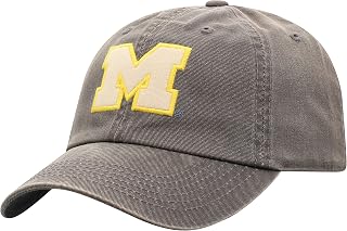 Amazon.com: Michigan Wolverines Hat