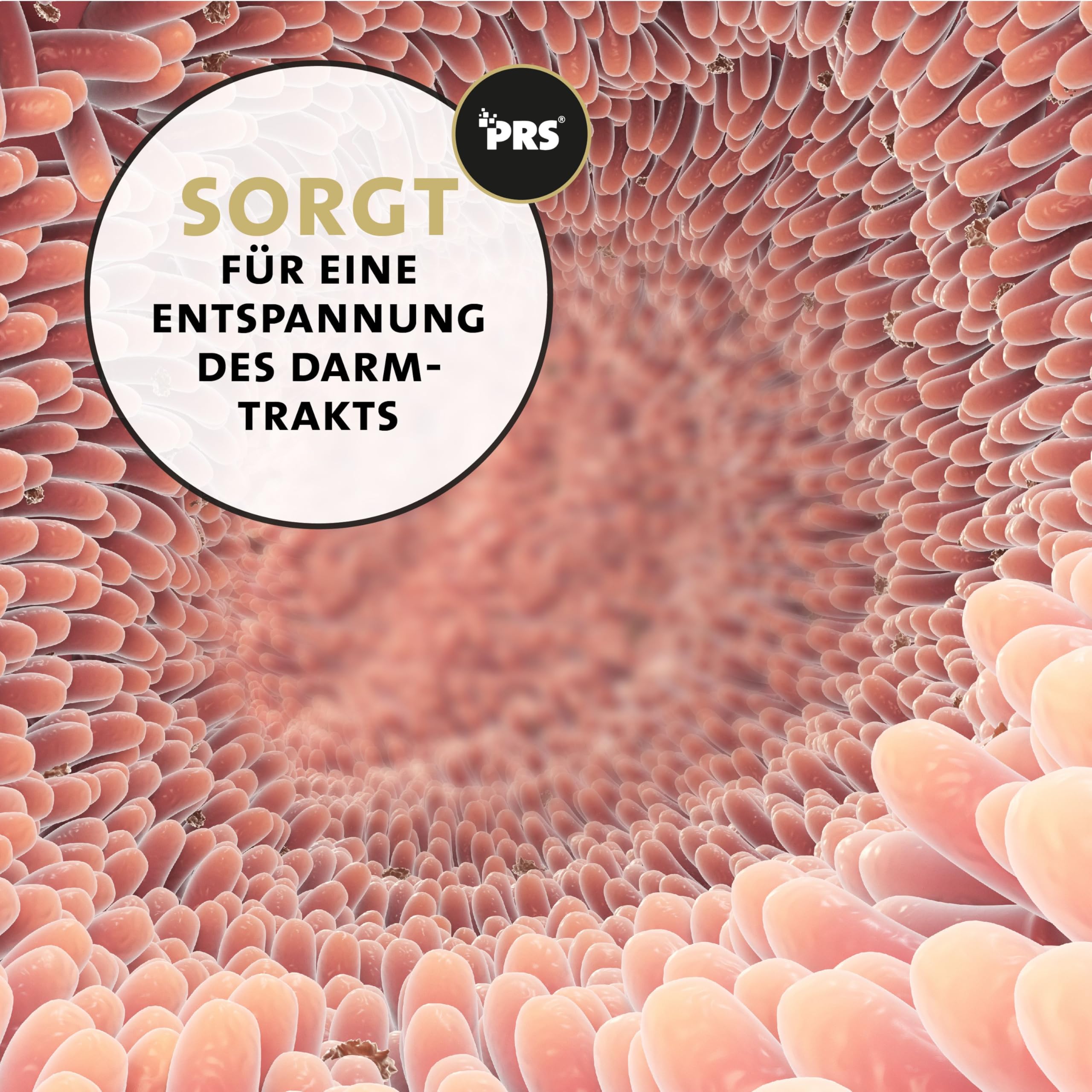 Peticare Relax & Chill Pulver für Hunde | Anti-Stress Beruhigungsmittel bei Angst, Nervosität, Aggressionen | rein pflanzliche Inhaltsstoffe