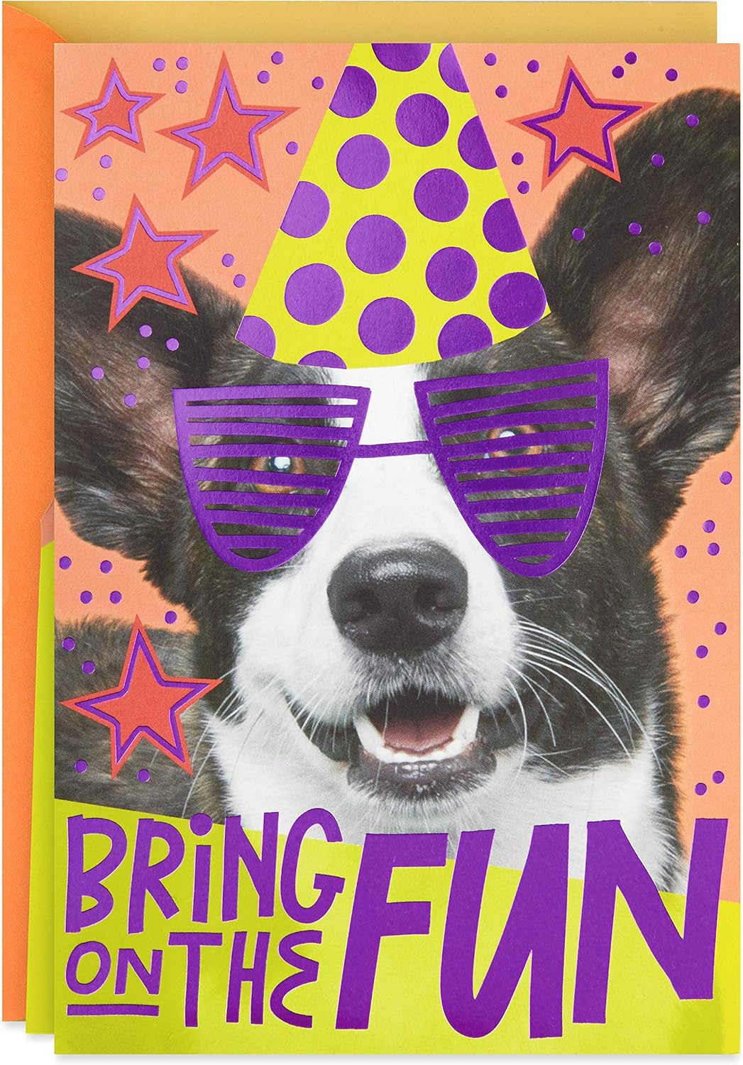 Hallmark Pop Up Birthday Card (Birthday Dog)