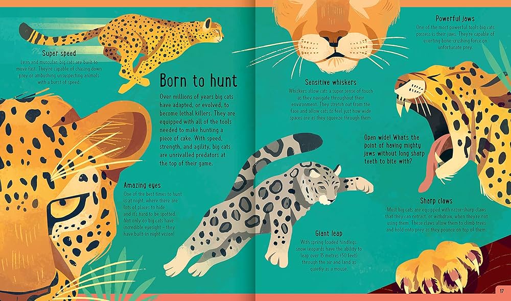 洋書  CATS life 洋書 CATS life 洋書 CATS life It's a Cat's Life: Anitra