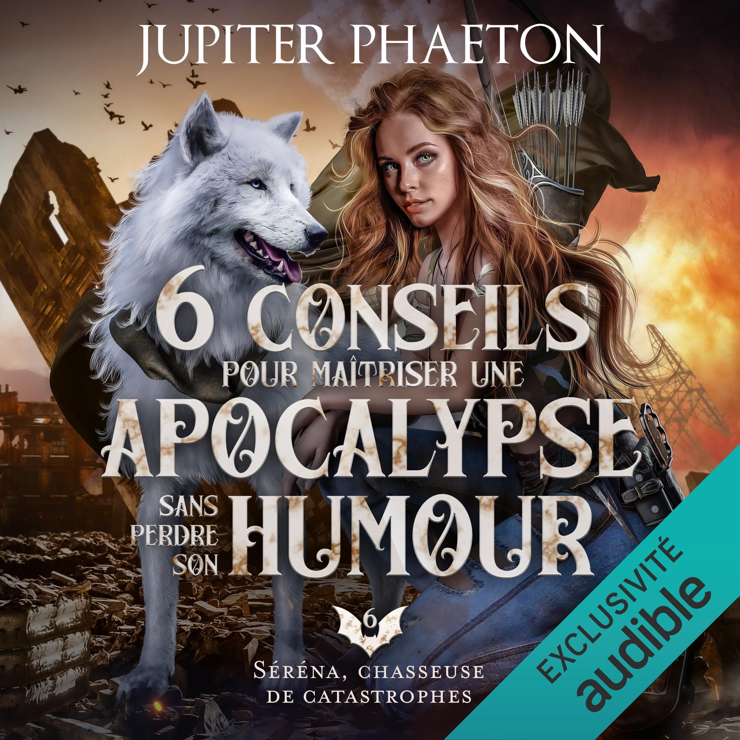Cover art for 6 conseils pour maîtriser une apocalypse sans perdre son humour