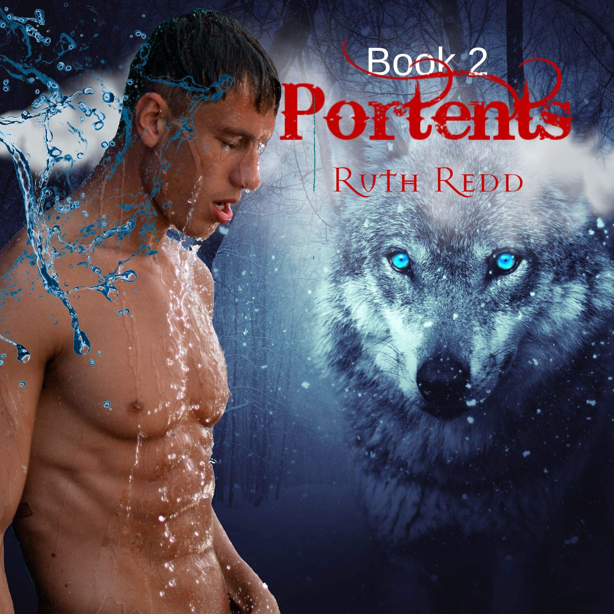 Cover art for Portents Part 2