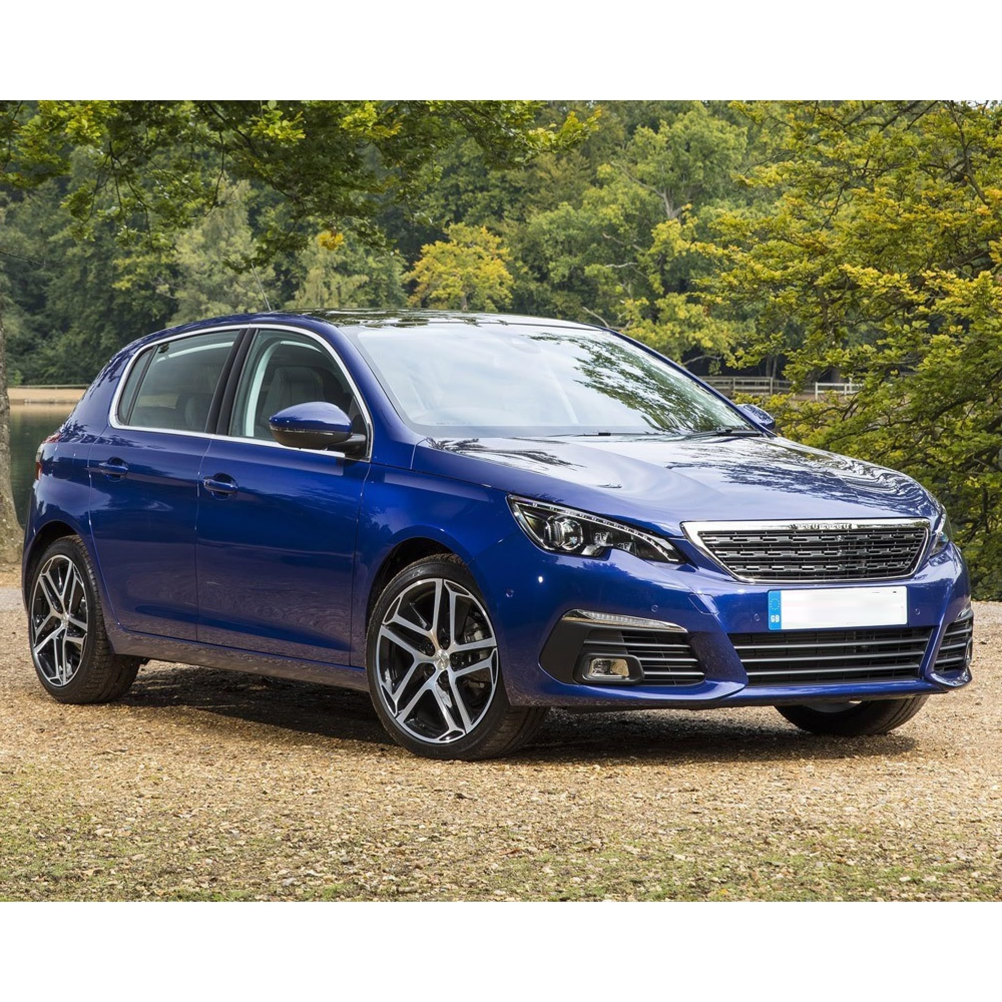 2x Molle a Gas Compatibile con Peugeot 308 Mk2 2013-2021. Ammortizzatore Pistoncini Cofano Posteriore Sostituzione per 1635439180 e altri.