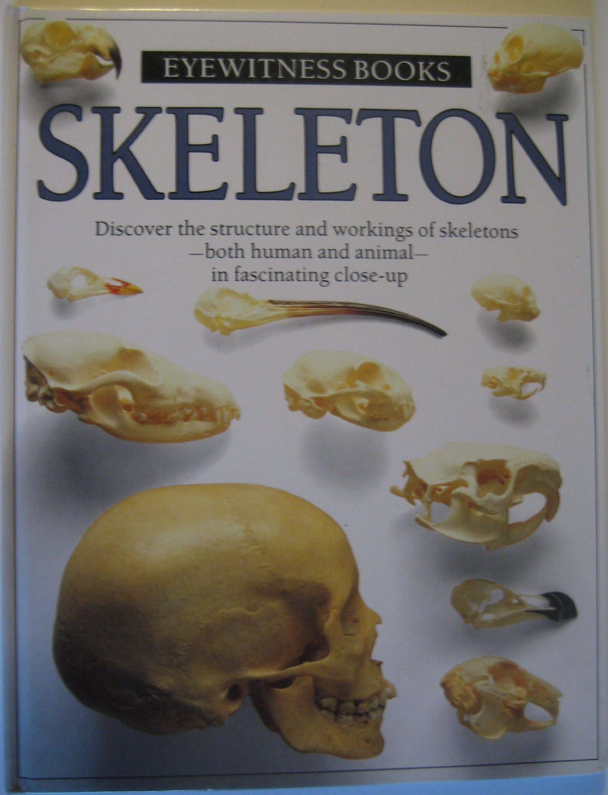 Skeleton: Parker, Steve: 9780394896205: Amazon.com: Books