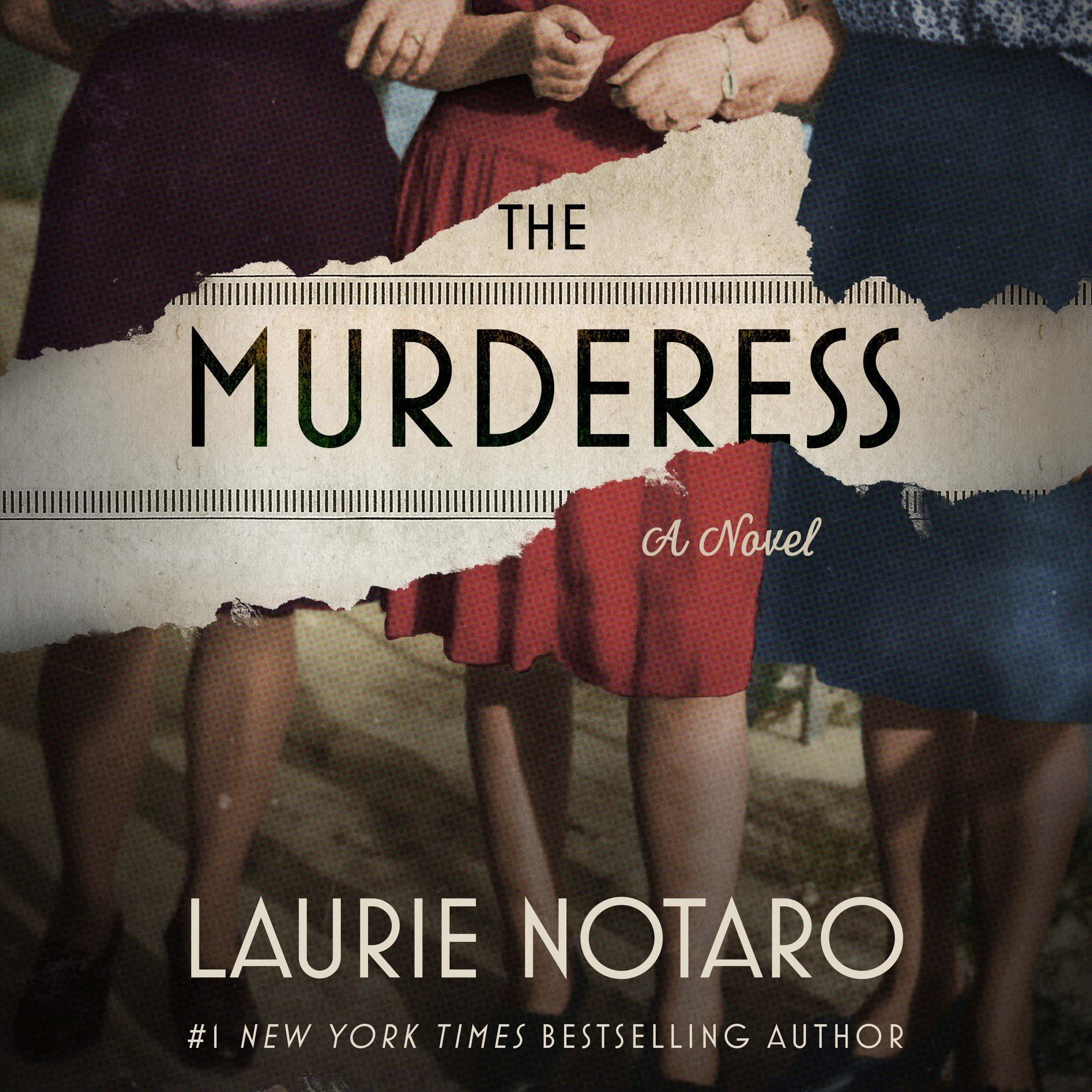 Cover art for The Murderess