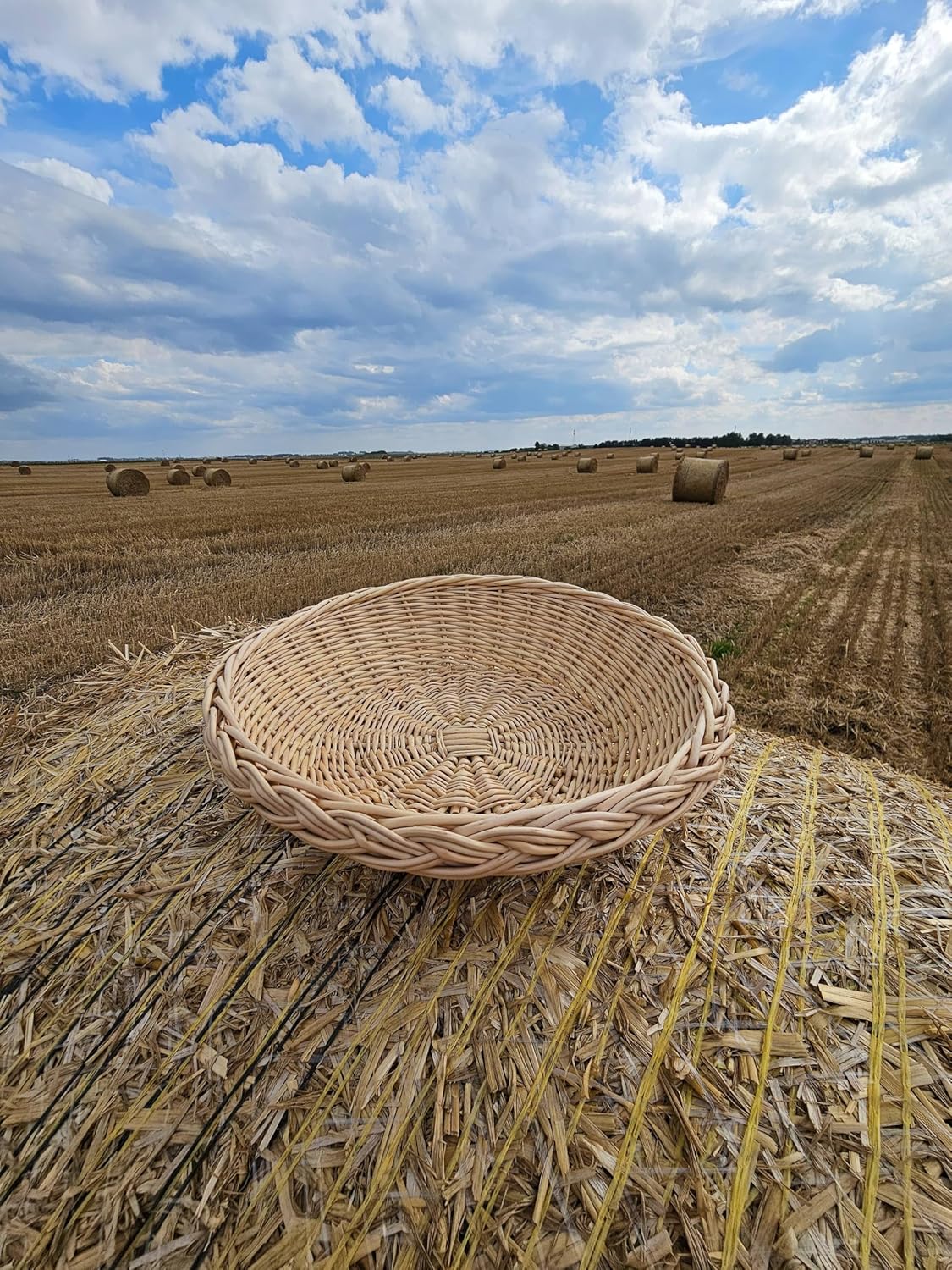 Handwoven Rustic Wicker Plate – Natural Willow Decorative Tray for Table Centerpiece, Farmhouse and Home Decor