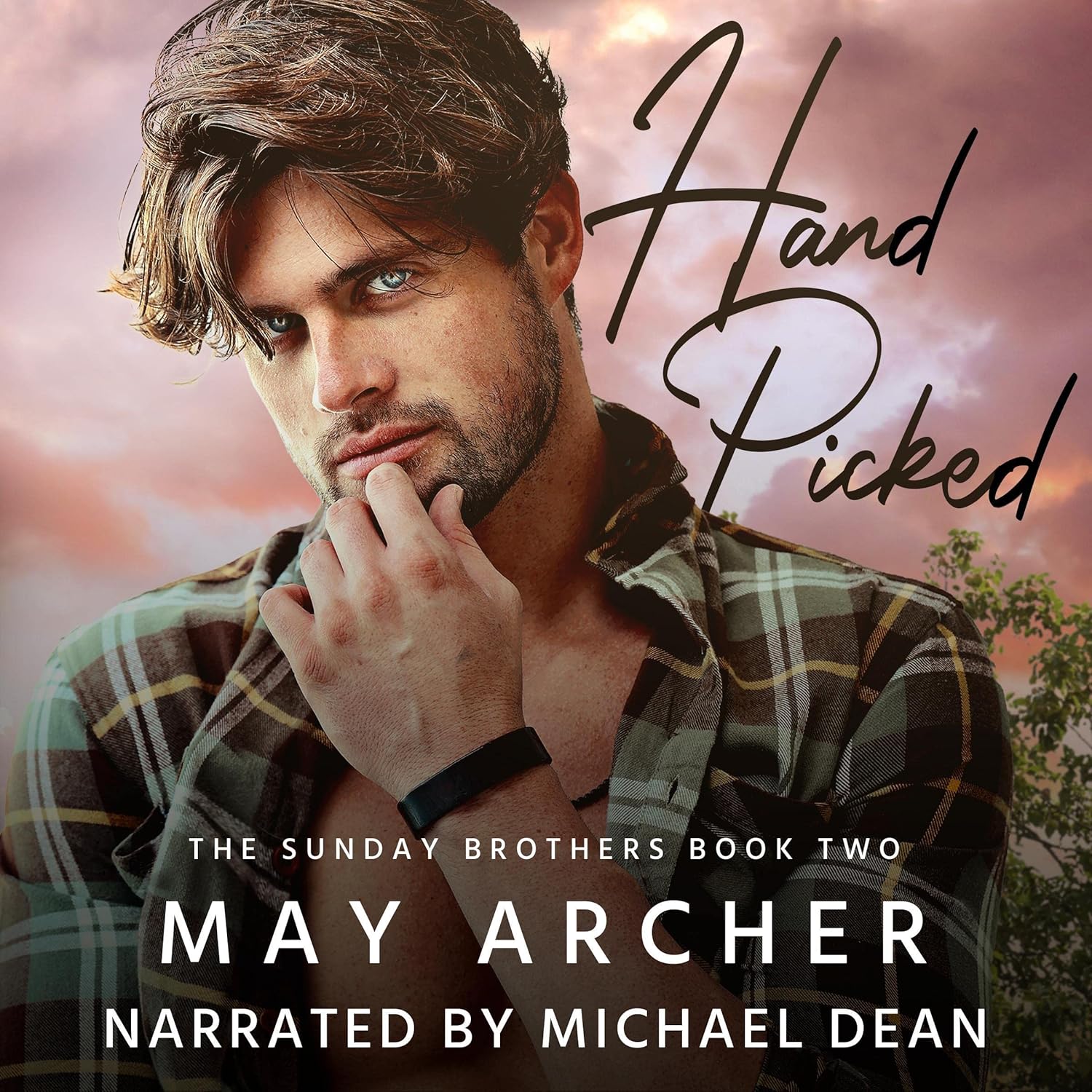 Hand Picked: Sunday Brothers, Book 2    
	                
	            

                 
                        Audible Audiobook 
                  
                        – Unabridged