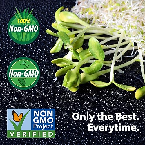 Miniatura 6 de Kit de cultivo de brotes de brócoli orgánico – Incluye tapa de acero inoxidable 316, soporte y semillas sin OMG – Kit completo de Handy Pantry &