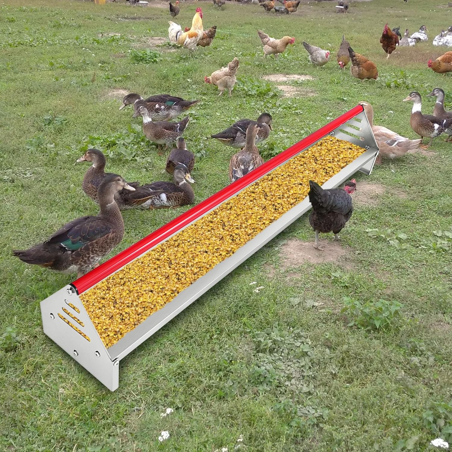Chicken Feeding Trough 45", Heavy Duty Galvanized Steel Feeder with Drainage Holes & Crossbar, Poultry Feeder Trough for Chicken, Duck, Geese, Turkey, Rabbit and Pigeon