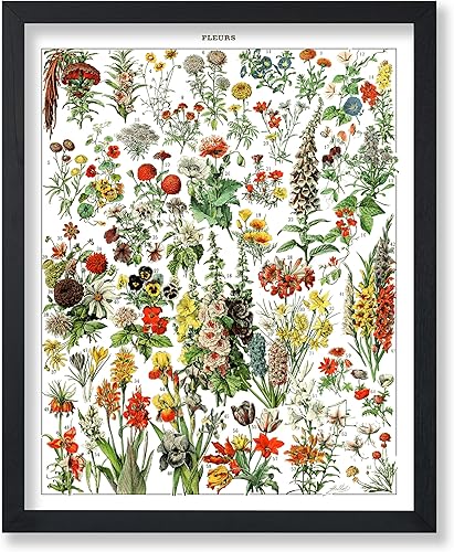 Miniatura 116 de Poster Master Póster vintage de orquídea, estampado de flores retro, arte de pared de plantas exóticas, arte botánico, regalo para hombres y