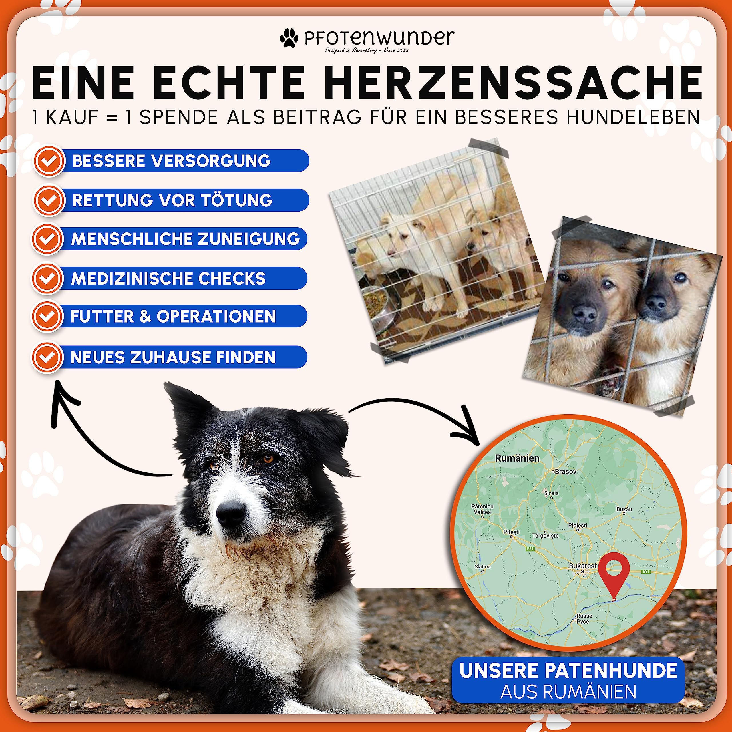PfotenWunder® XXL-Profi-Agility Set Hunde Groß + 3 Meter-Tunnel + 21 Min. HUNDESCHULE -6 Slalomstangen, für kleine & große Hunde-Training Sport Cavaletti Parcour Steckhürdenset Zubehör Hürden