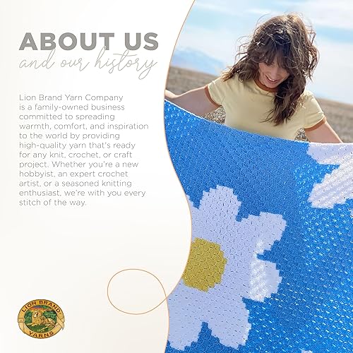 Miniatura 6 de Lion Brand Yarn Basic Stitch - Hilo para tejer antibolitas, para ganchillo, paquete de 3, color azul acero