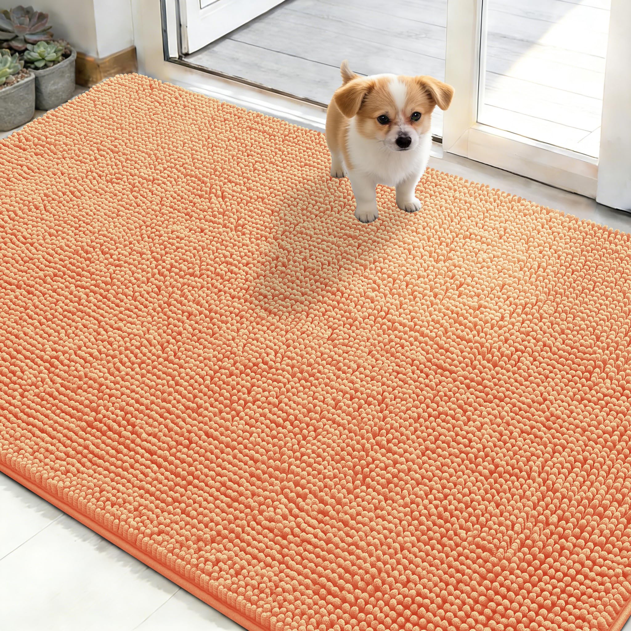 OLANLY Dog Door Mat for Muddy Paws 48x30, Super Absorbent Chenille Mud Mat
